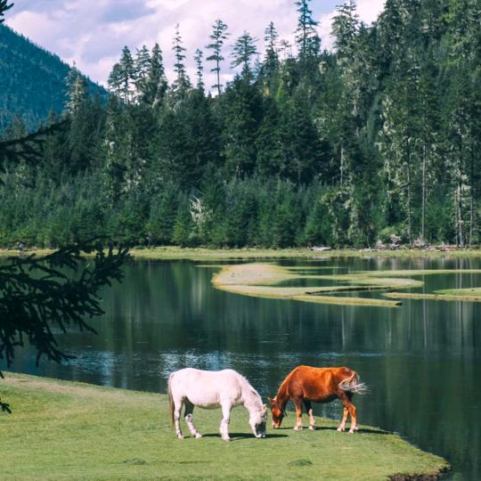 记录小米莉成长@