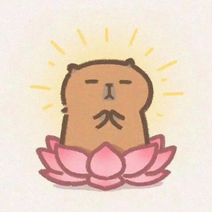 鱼块的卡皮巴拉