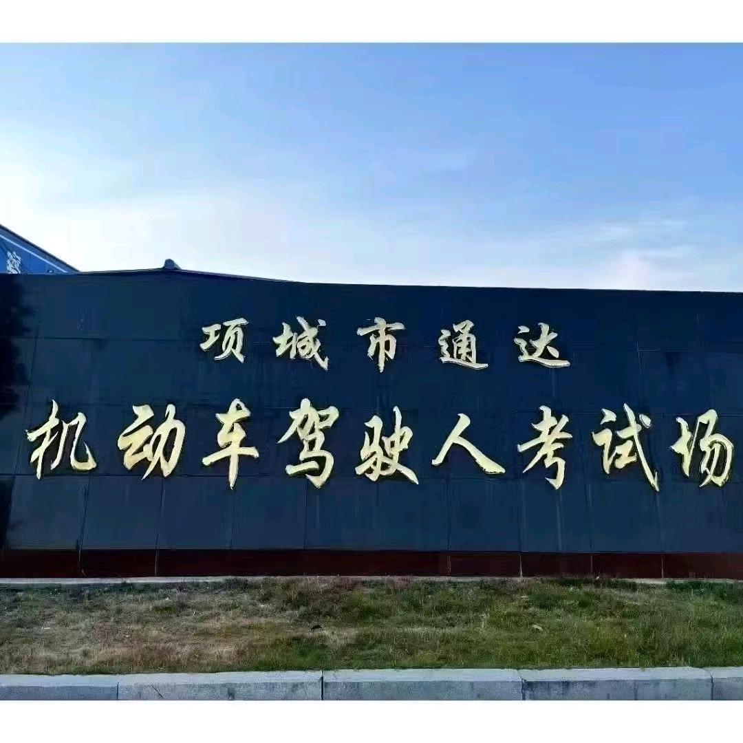 驾培和教练