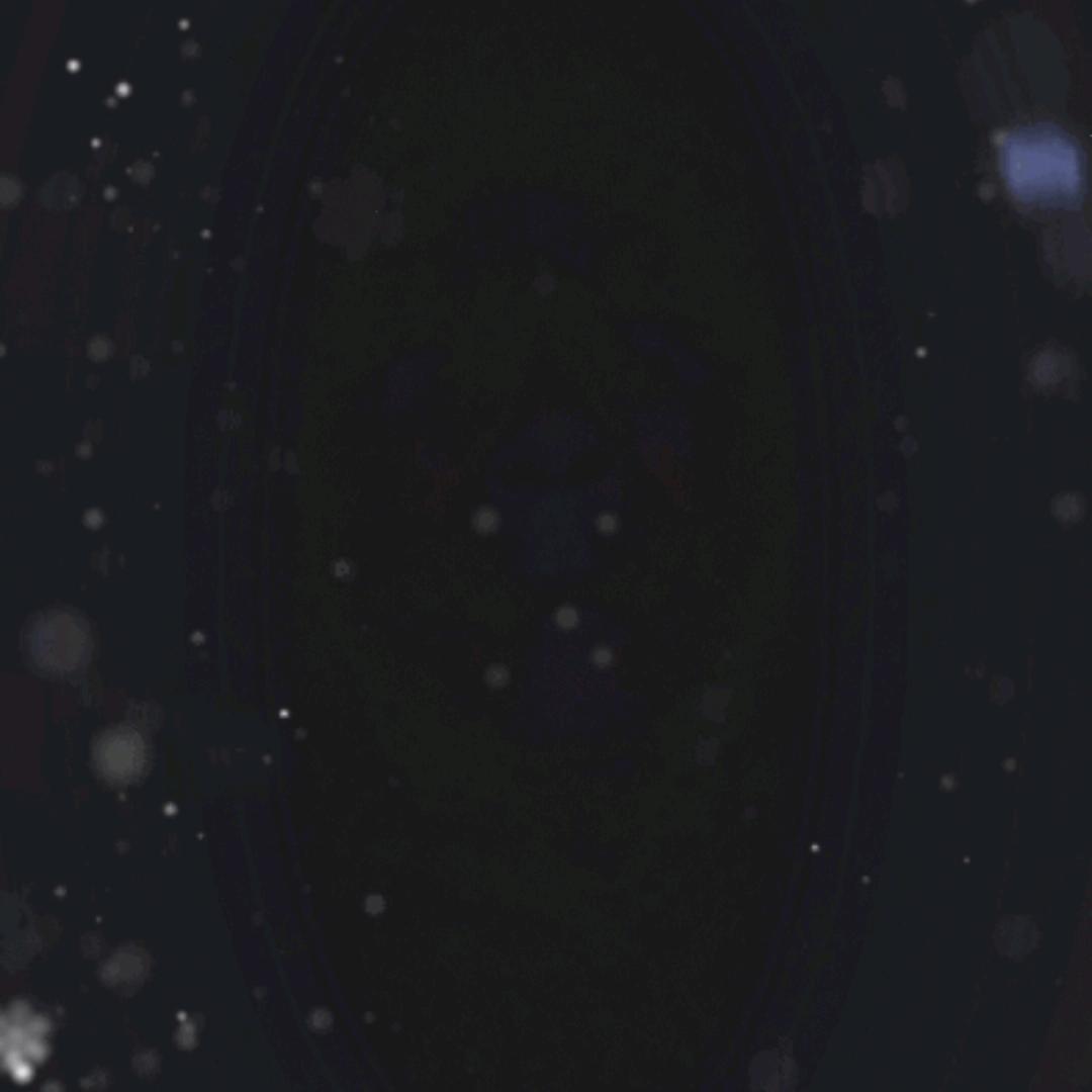 我叫汪维仁我或者这样也是叫枉为人的