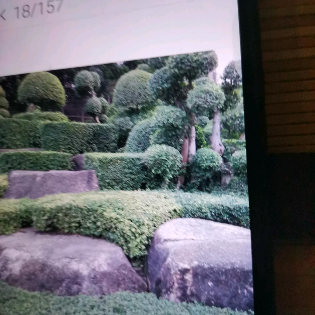 快乐每一天
