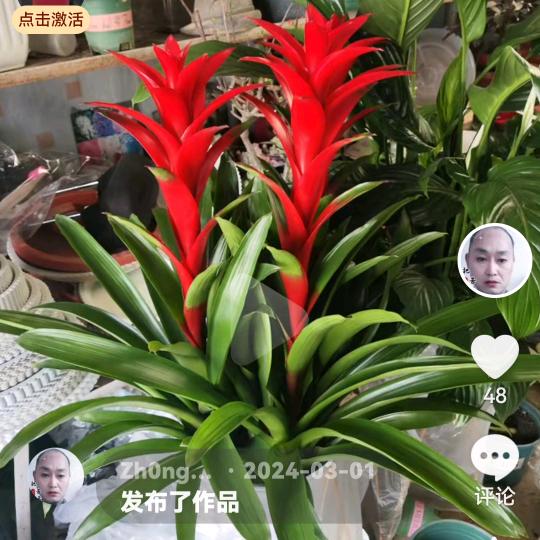 Zh0ng…、wei