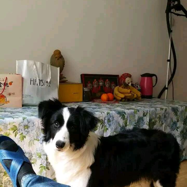 兰  兰【生活号】