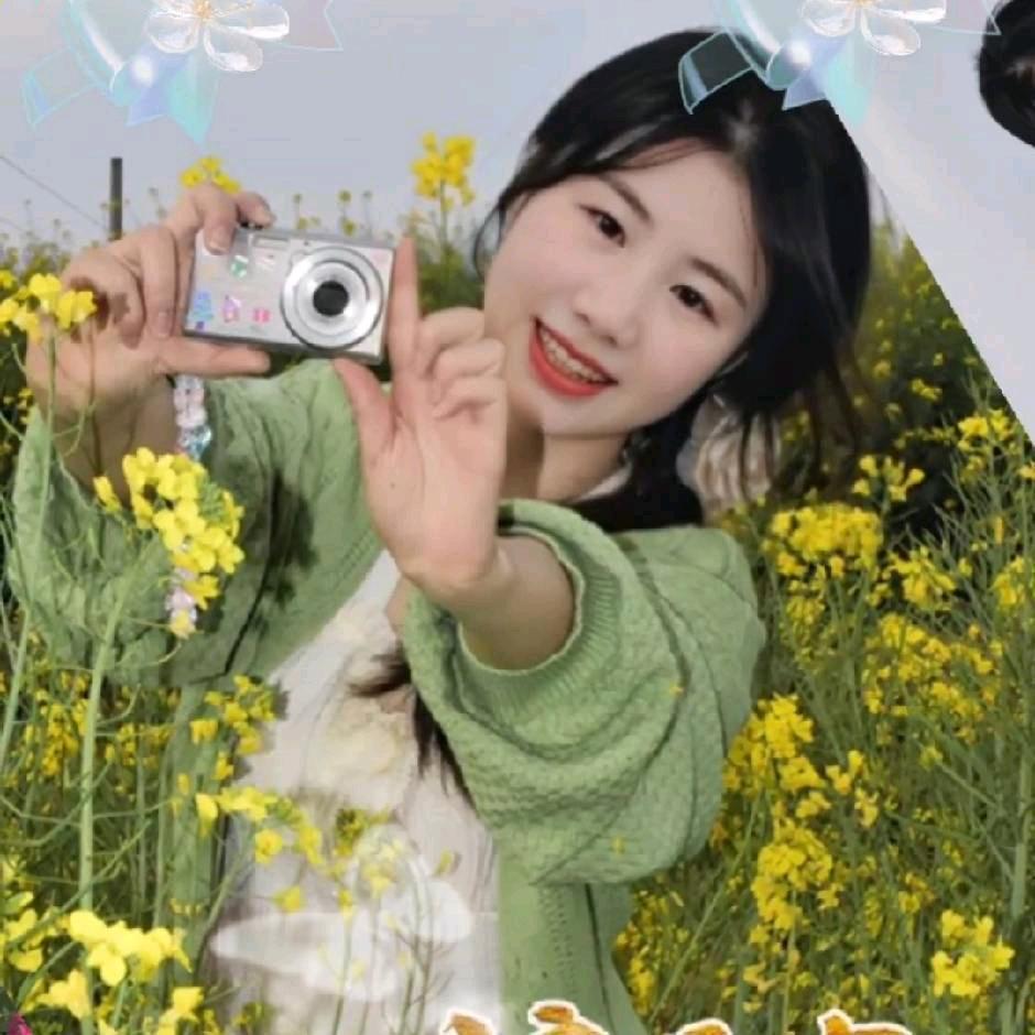 柿柿顺意