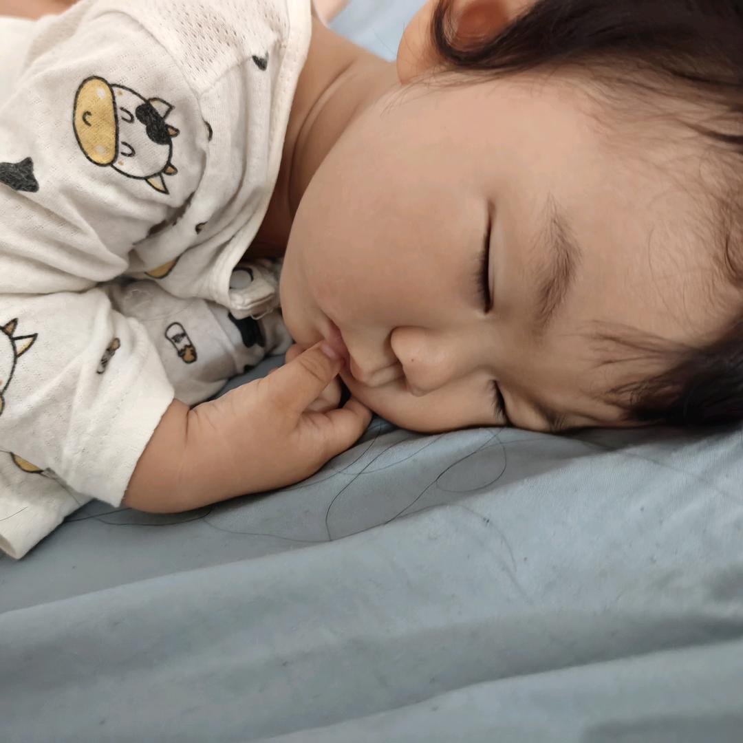 布丁