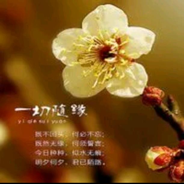 阳光普赵
