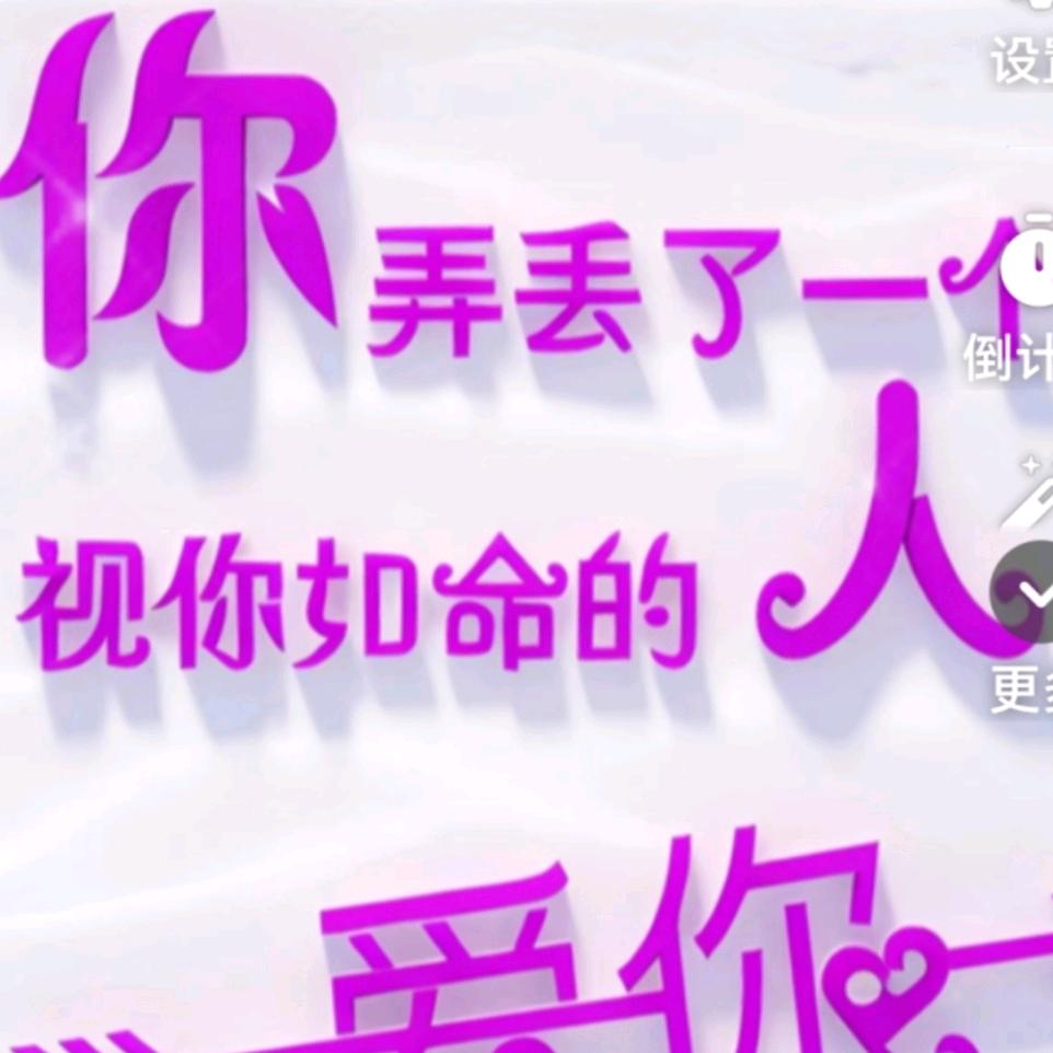 没人要的流浪猫