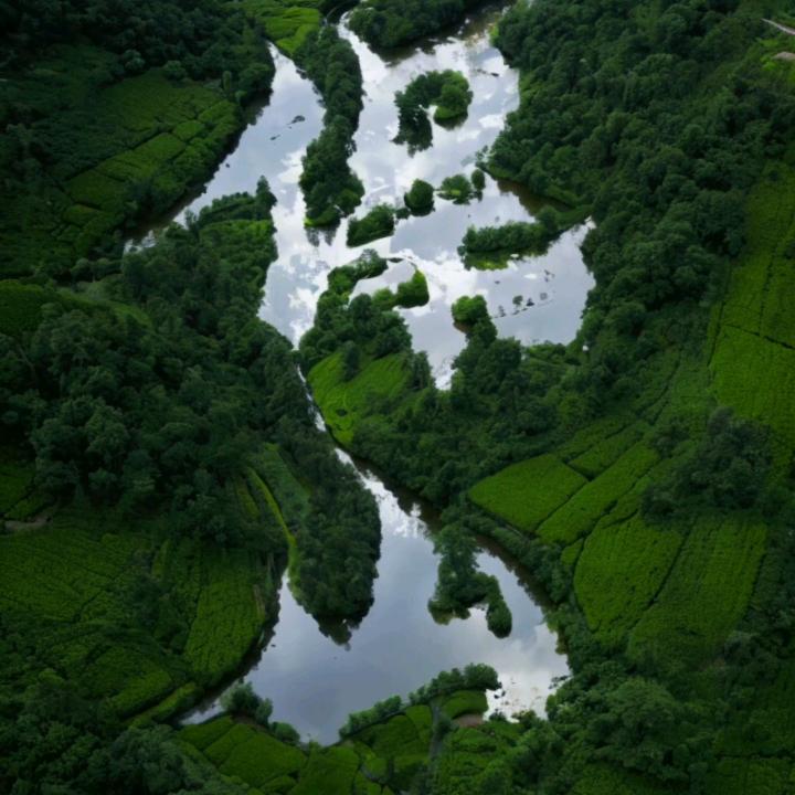 🚬ᐝ᭄一介⿻俗人🍻࿐