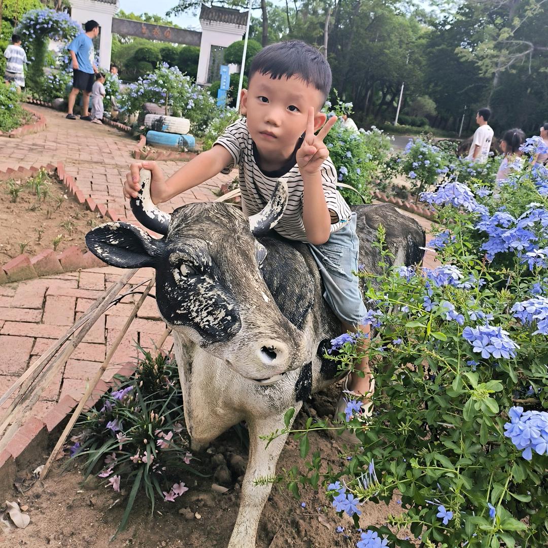 小阿十