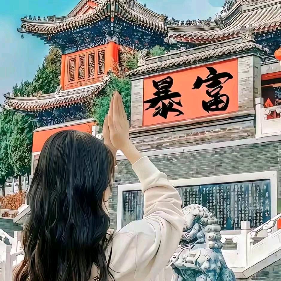 骑着毛驴上高速