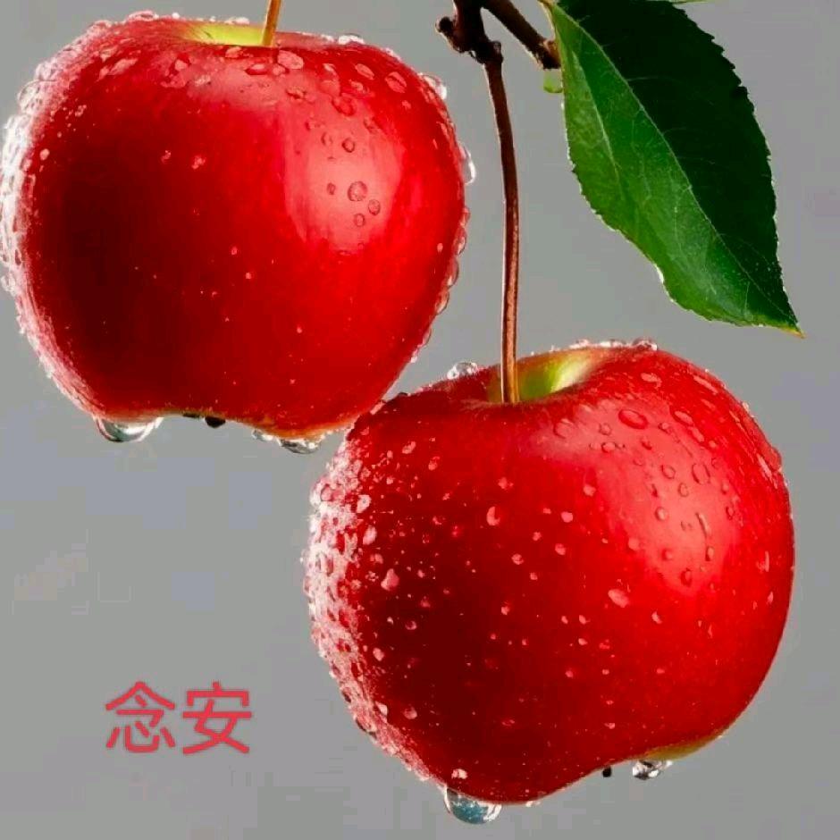 明天会更好，头像