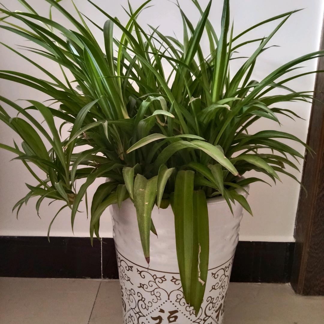 气压钻水井捞泵