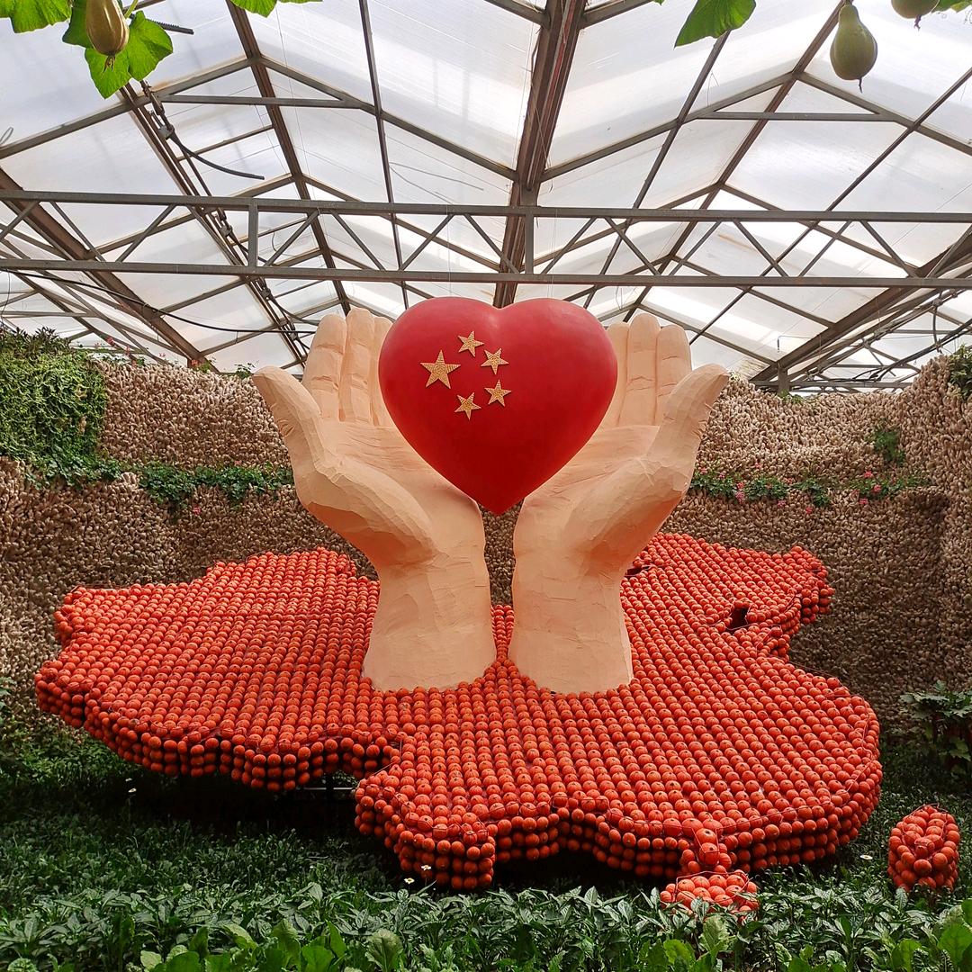 丁双元  奋斗人生