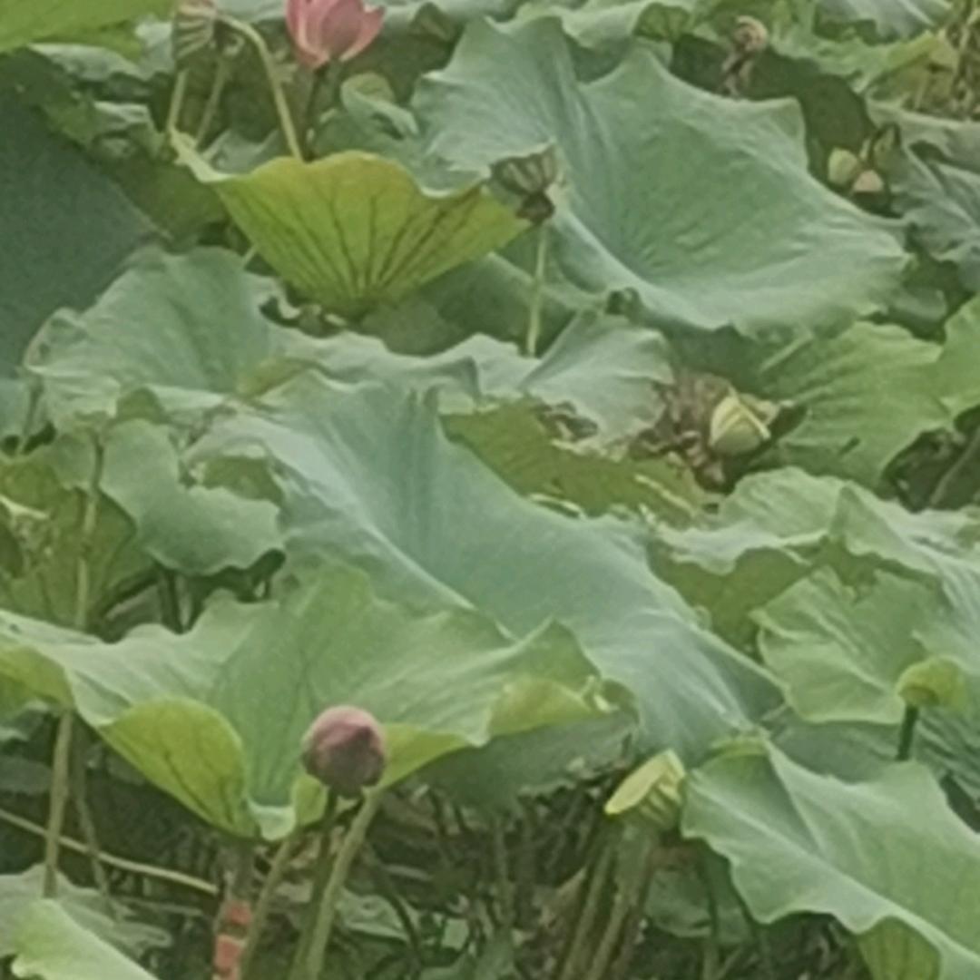 简单明了