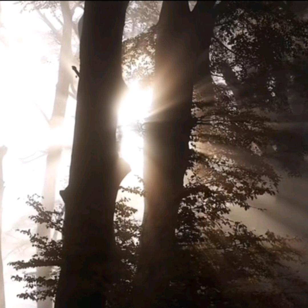 裂縫中的陽光☀