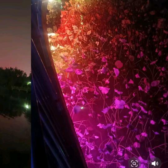静静啊
