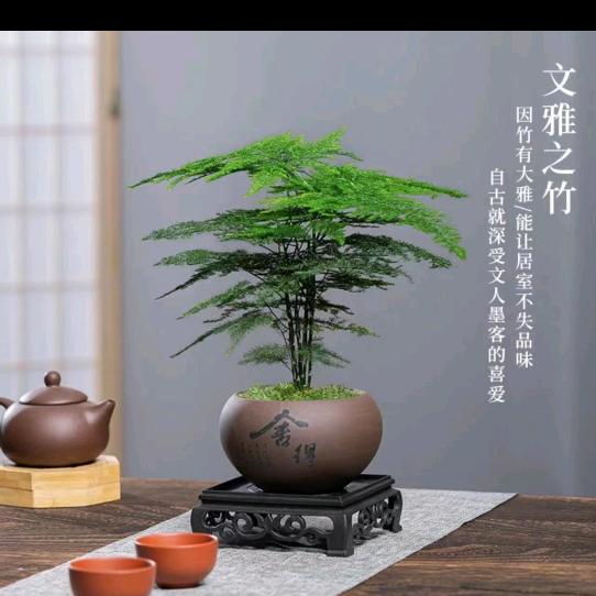 一笑而过