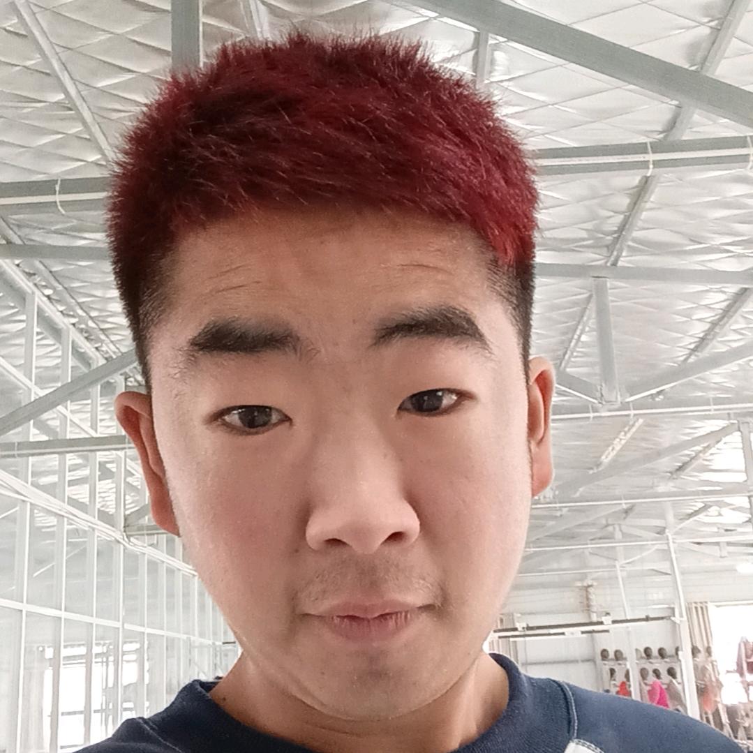 龙哥(梦想团队歌手阿龙。)(禹州黑龙演绎