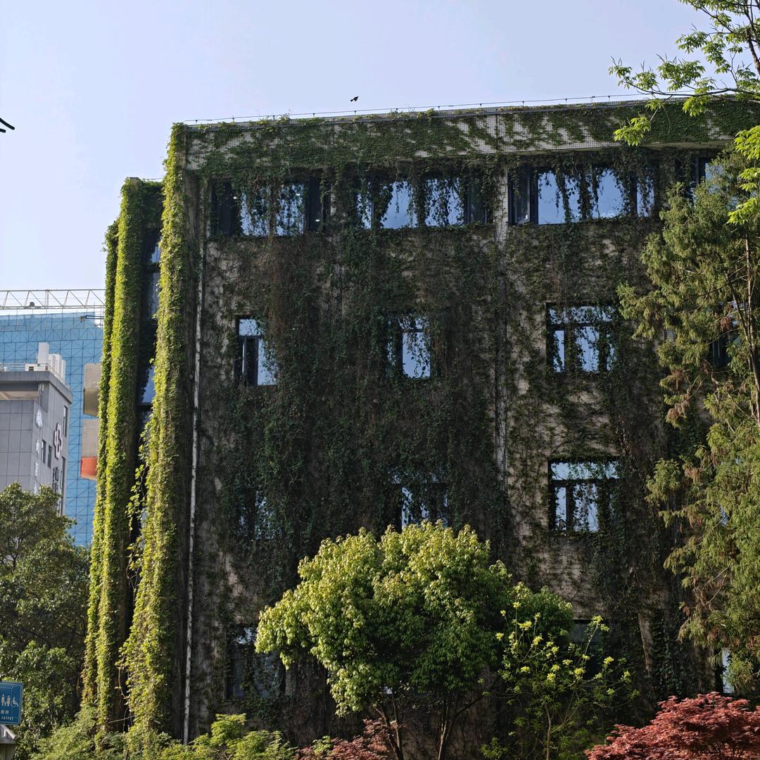 稍纵即逝