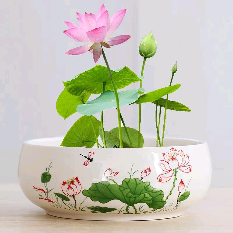 沁也陶瓷