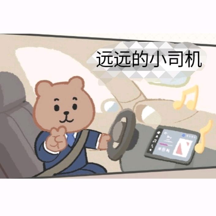 远远的小司机