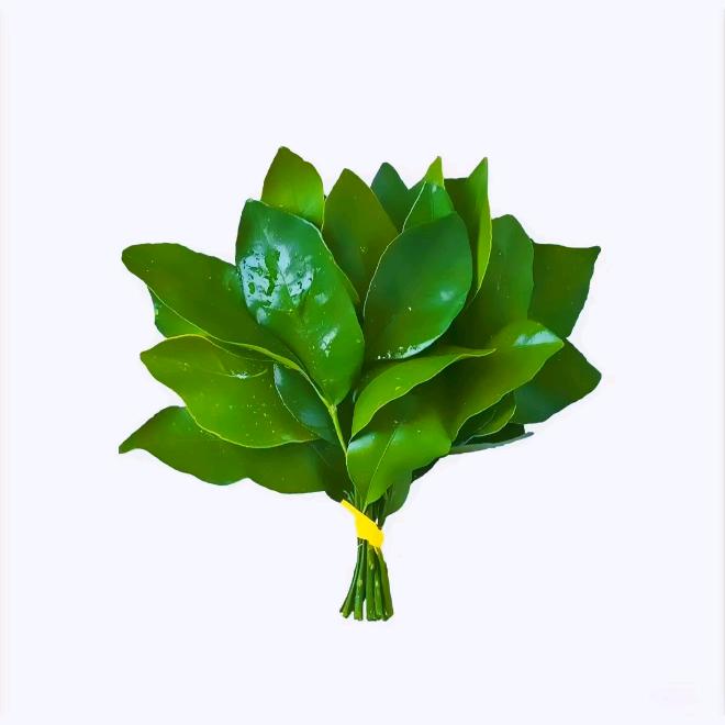 幸运17