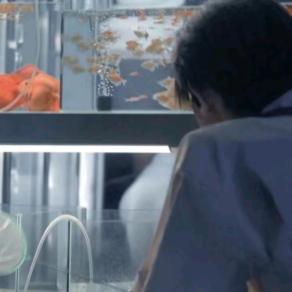 流星也为你落下来了