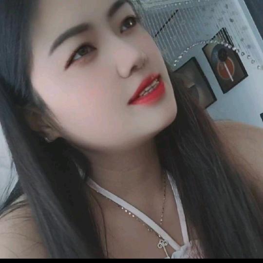 养了一只帕萨特