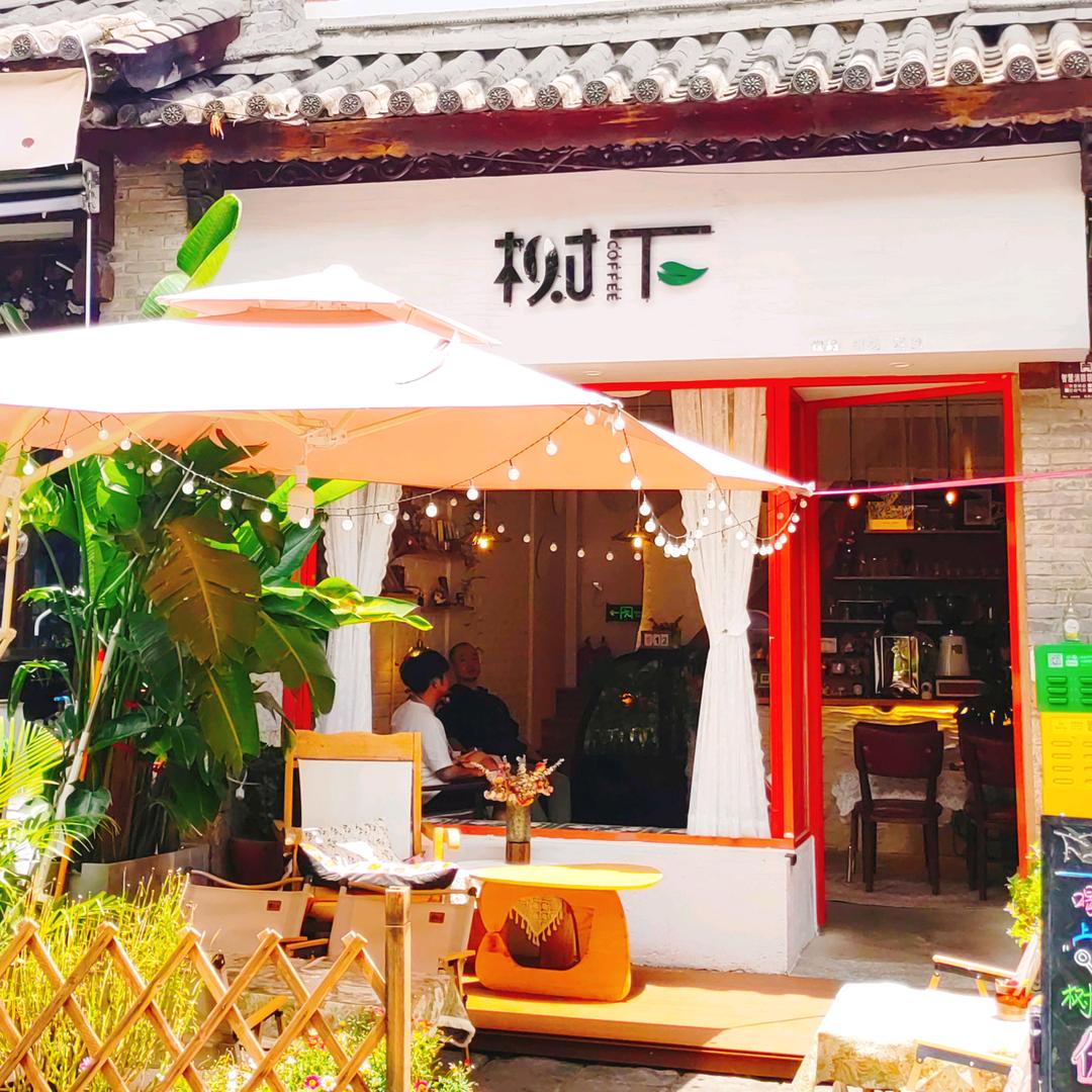 树下咖啡&小酒馆