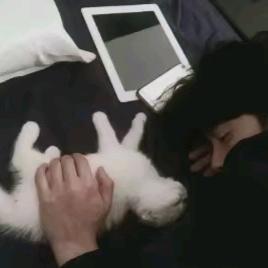 薄雾❛‿˂̵