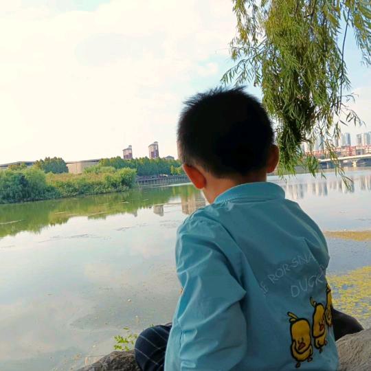枯藤老树