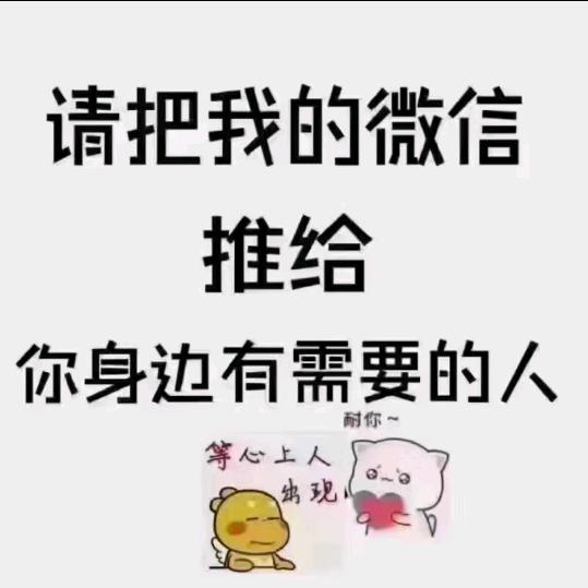 汽车教练：许教练