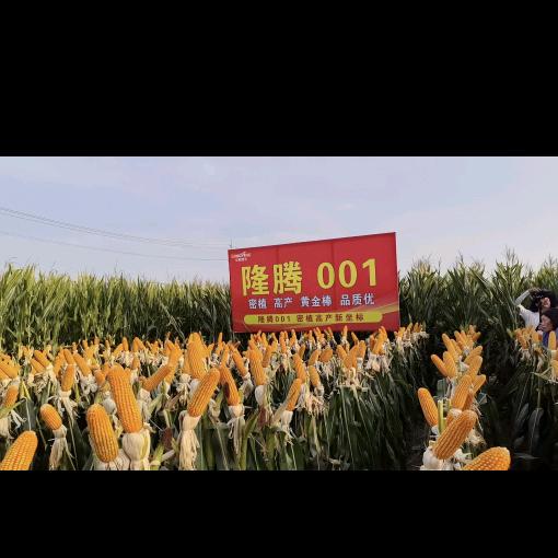 固镇县淮河老店