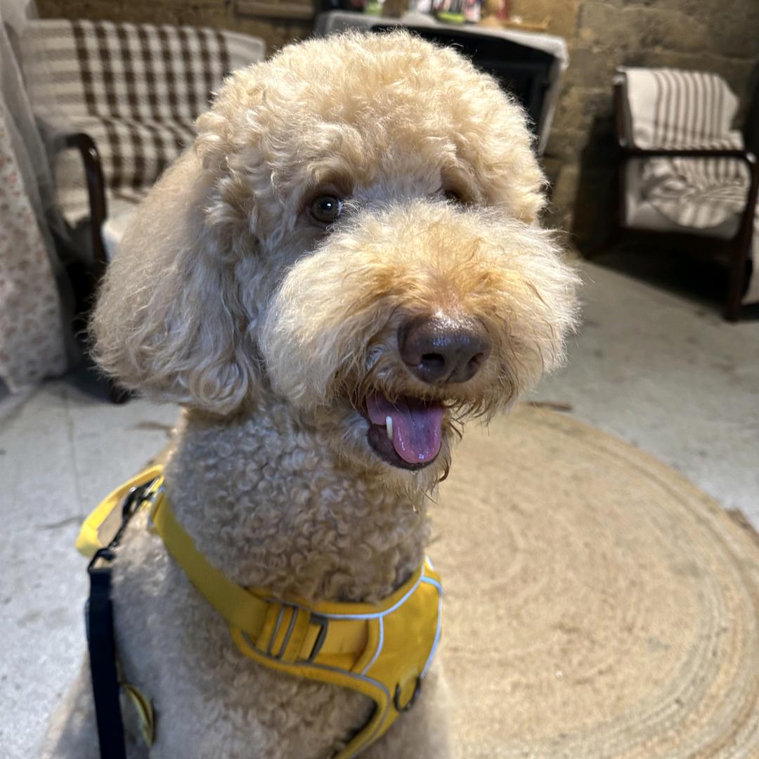 地球卫士（再生塑料）