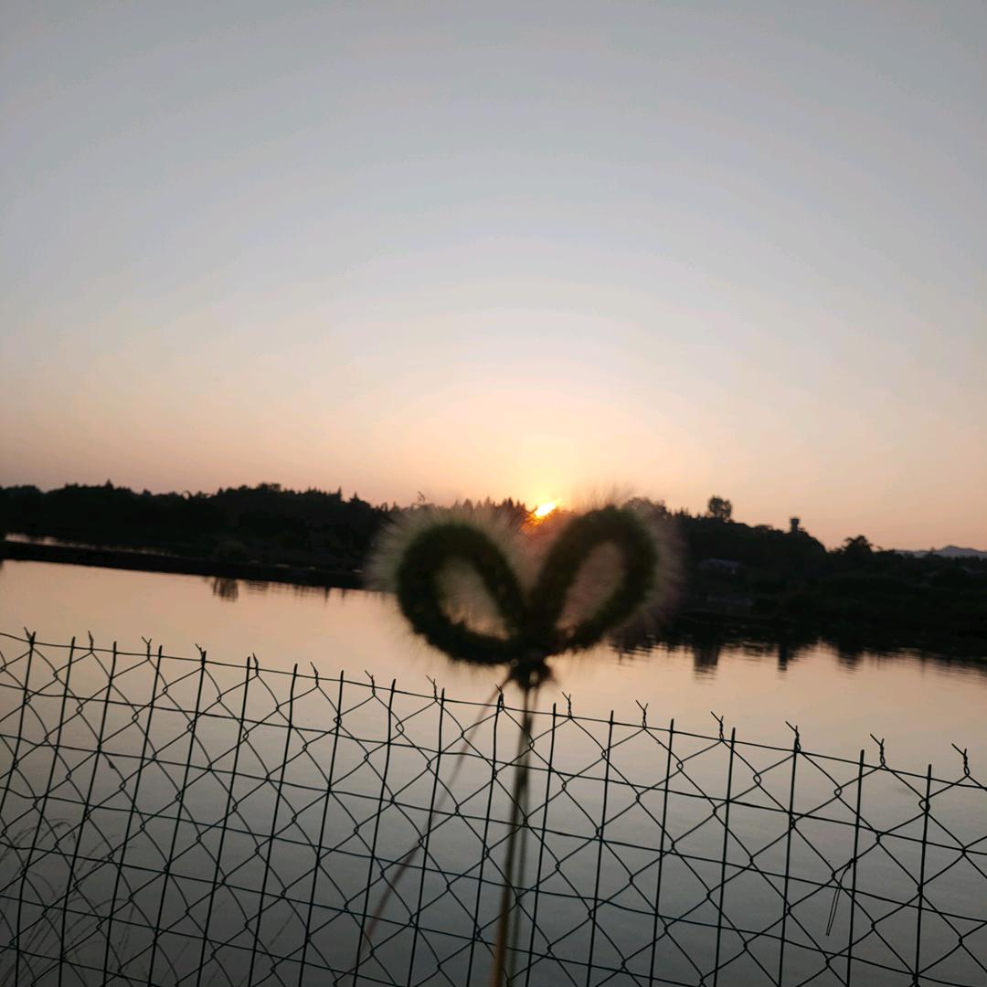 @单身哥♥♥