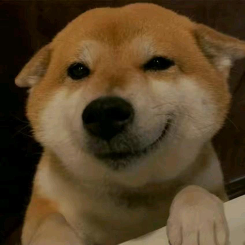 每天想发财