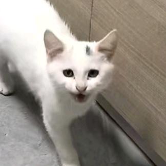 刘沐凡