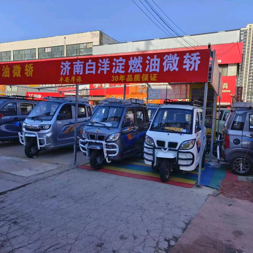 济南市白洋淀燃油微轿雁翎机动轮椅车