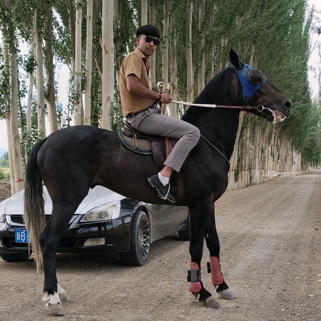 🏇艾教练🏇