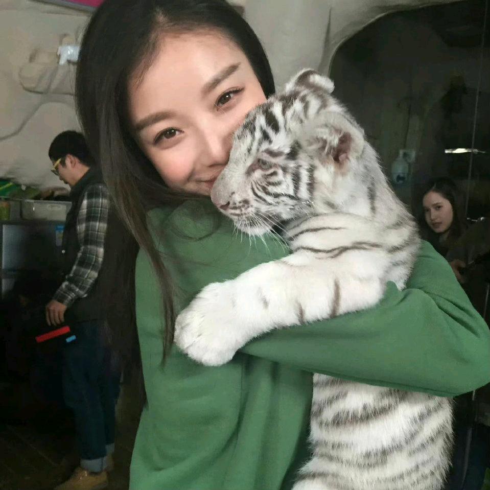 轲