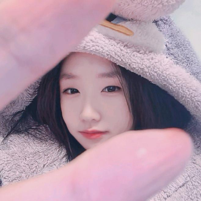 冯宝宝是猫头🥕