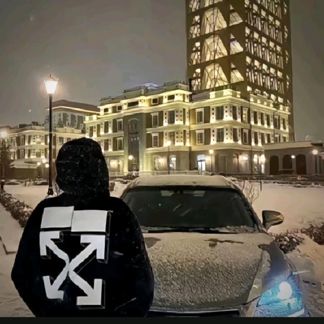 宸安