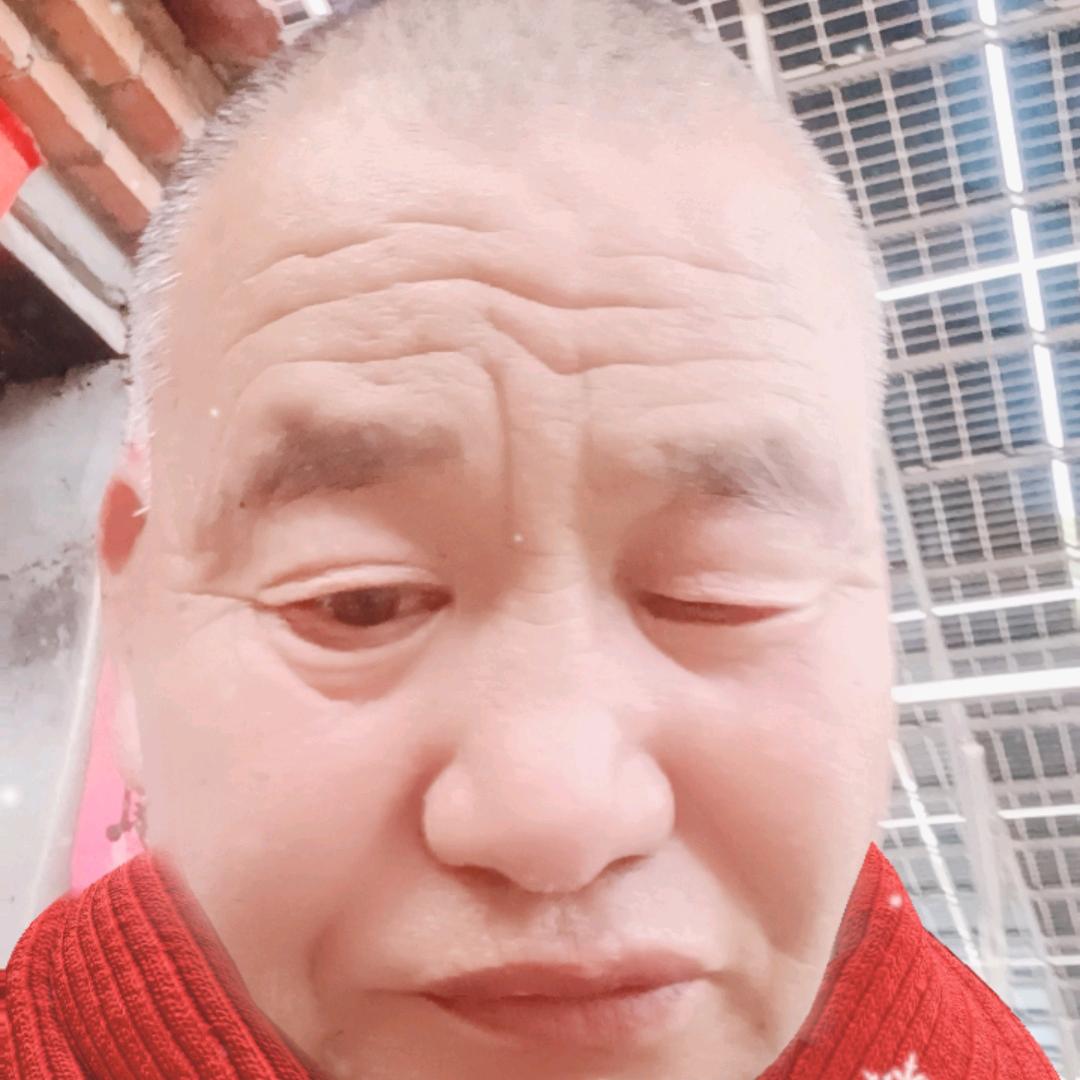 狐独金马