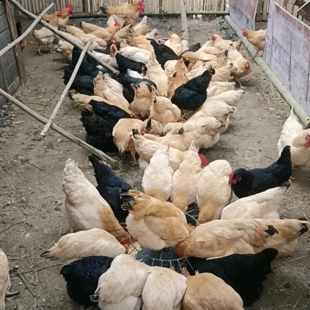 宁可睡地板也要当老板