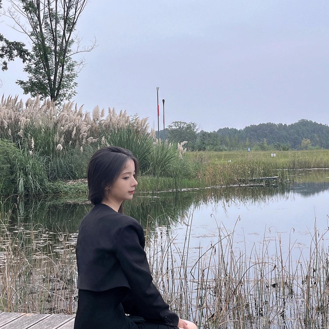 九泓装饰的叶子🍃