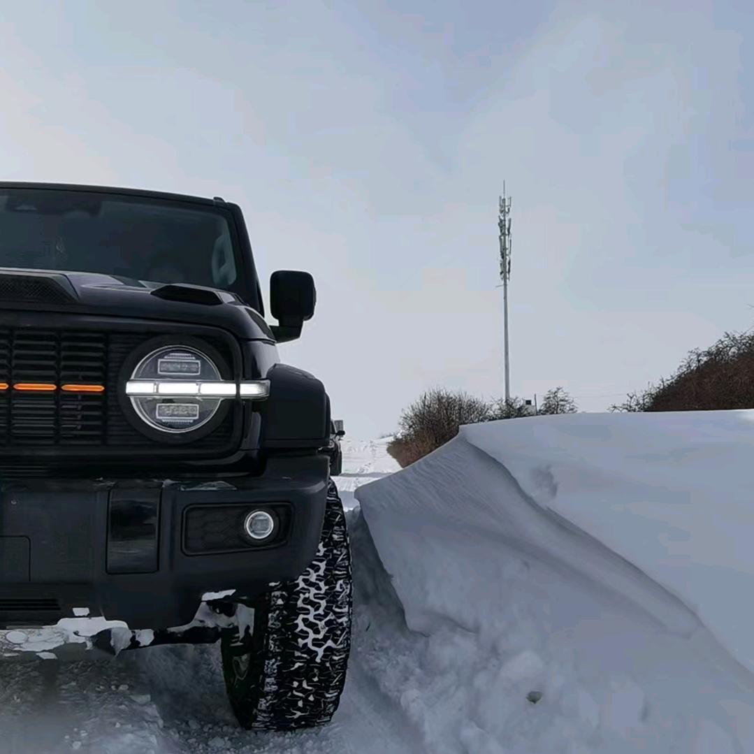 动起来！！！野