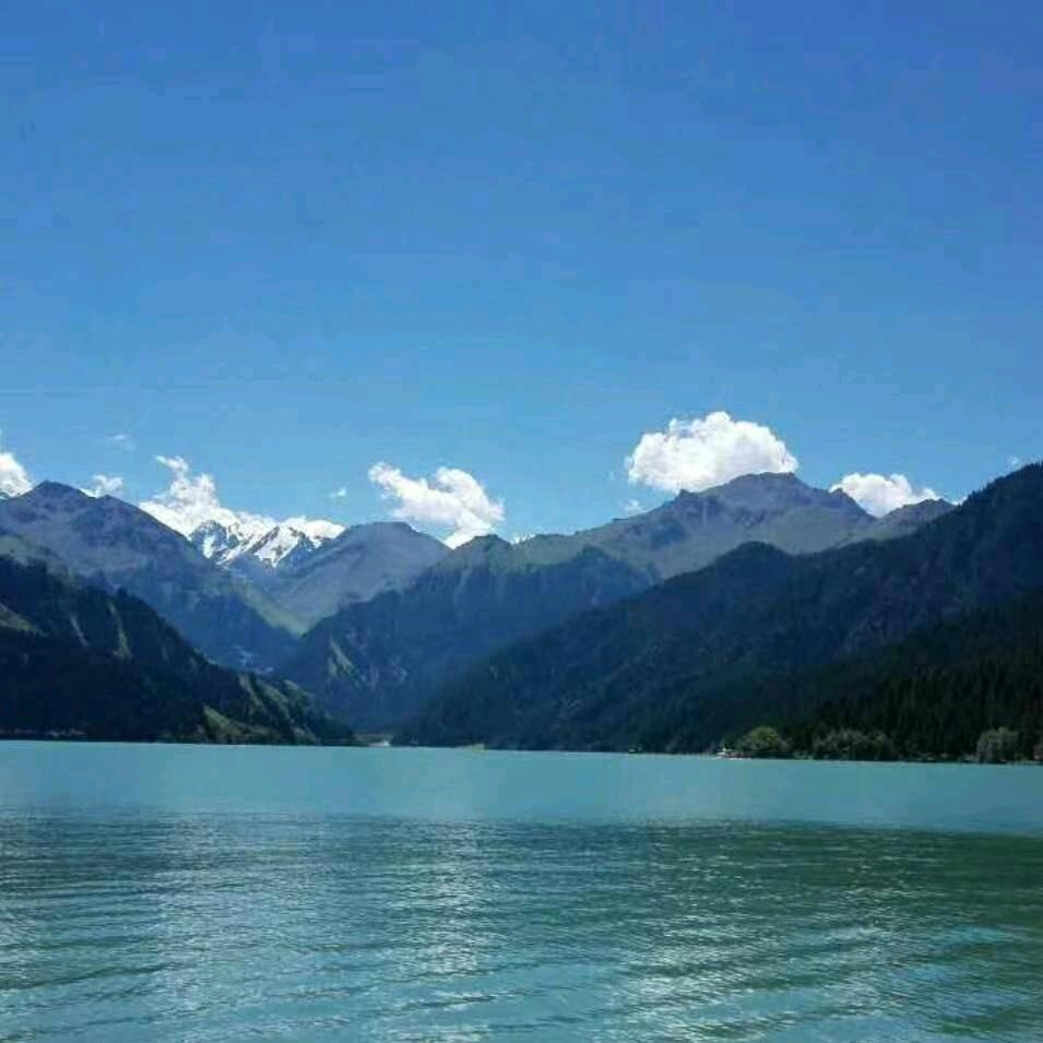 面店老板🎉🎉