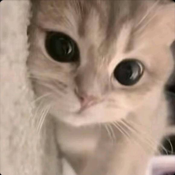 ੭