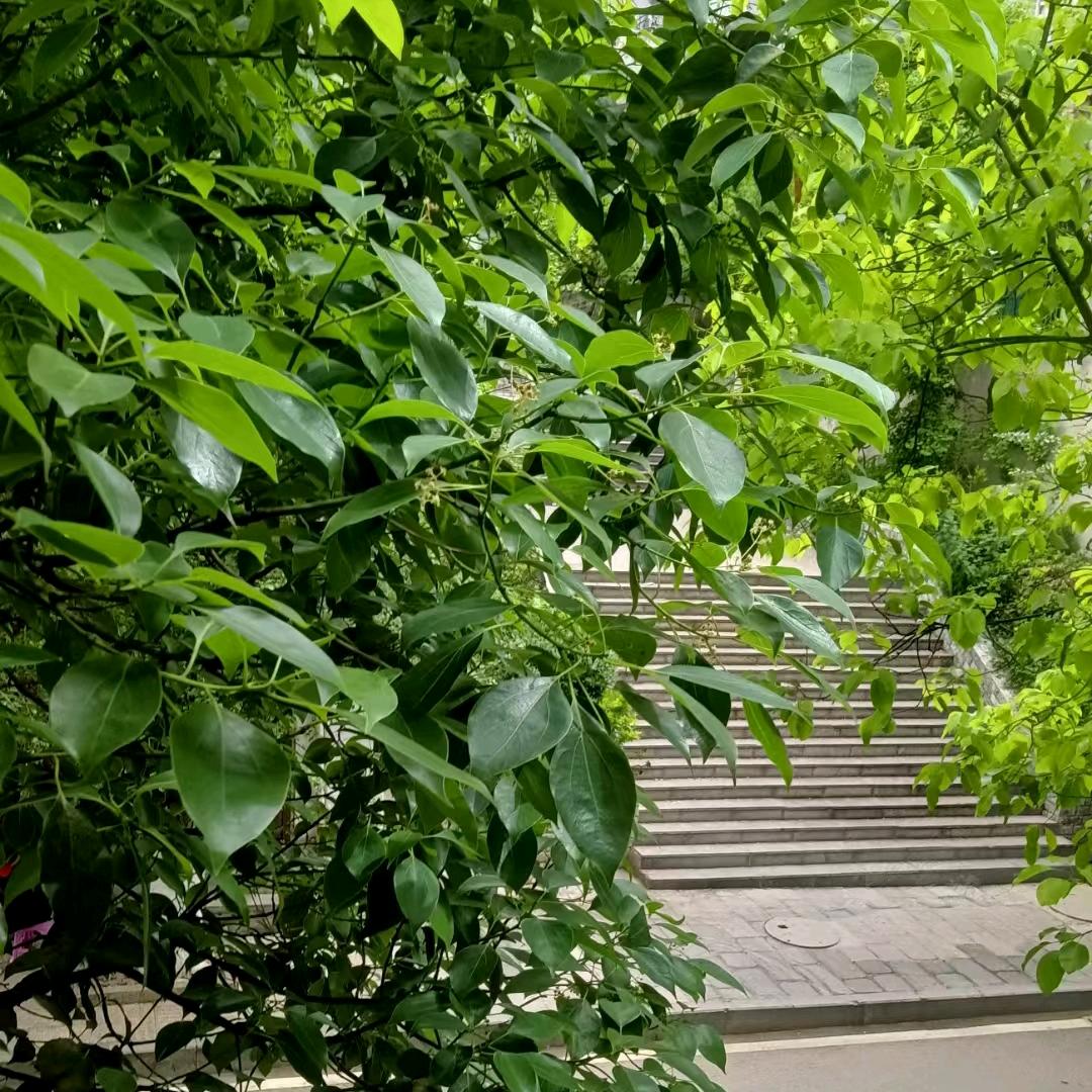 家佳