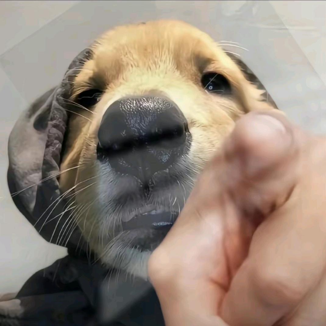 臻臻纪录片传奇